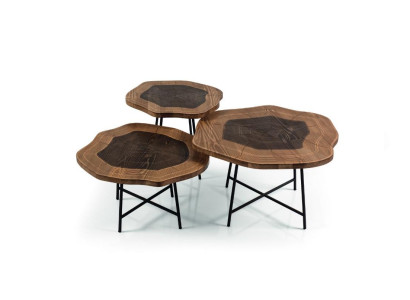 Coffee table Wood brown Coffee table Designer Living room table Tables 3x
